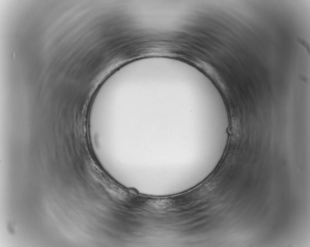 X0000101681435200807311509