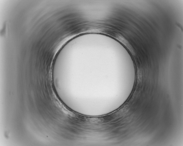 X0000101681436200807311509