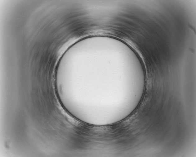 X0000101681437200807311509