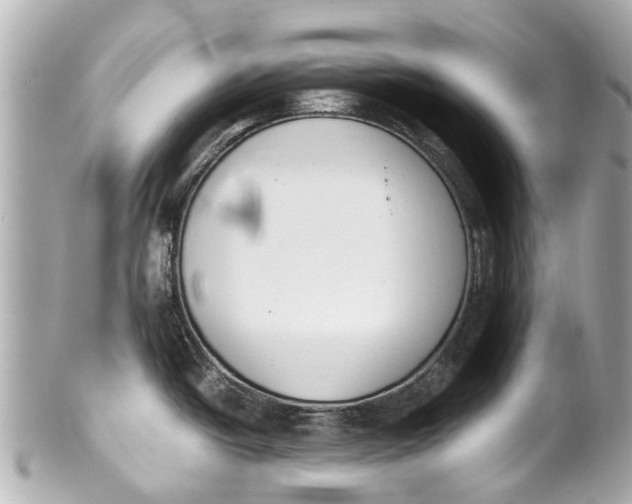 X0000101681438200807311509