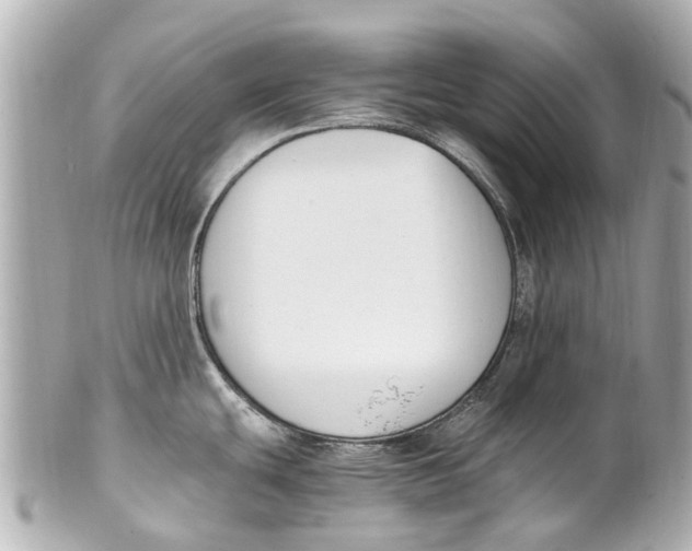 X0000101681439200807311509