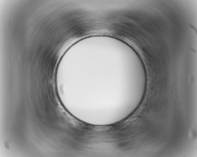 X0000101681440200807311509