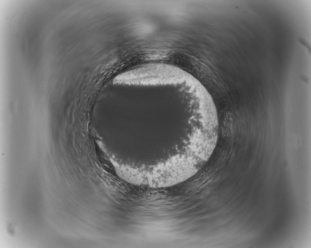 X0000101681441200807311509