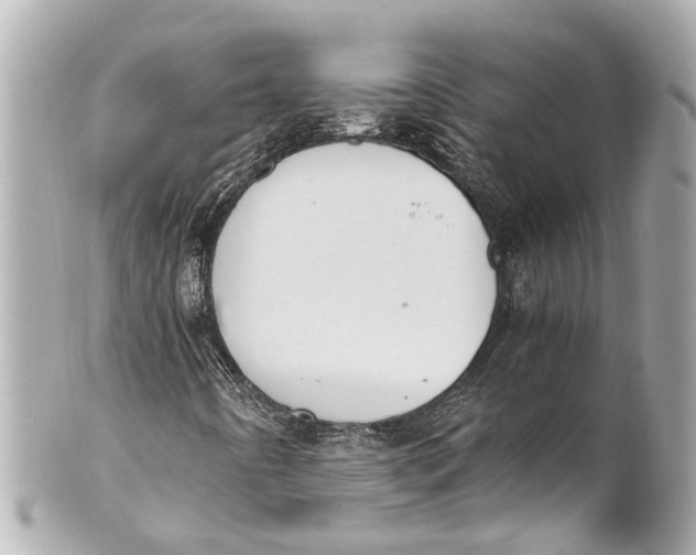 X0000101681442200807311509