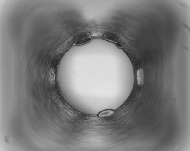 X0000101681443200807311509