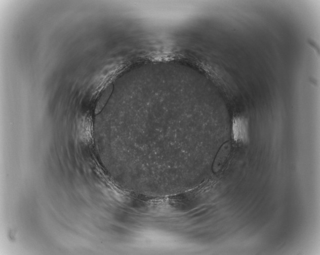 X0000101681444200807311509