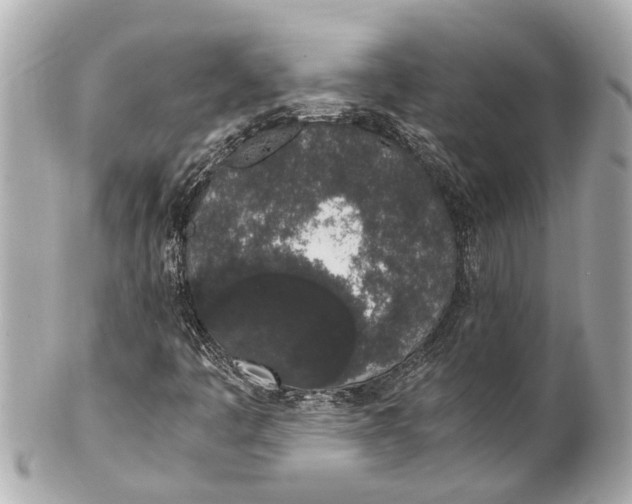 X0000101681445200807311509