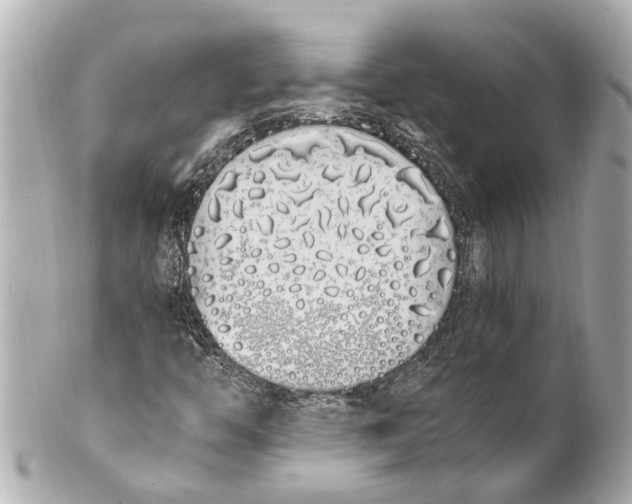 X0000101681446200807311509