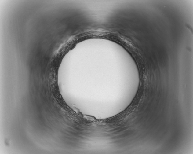 X0000101681447200807311509