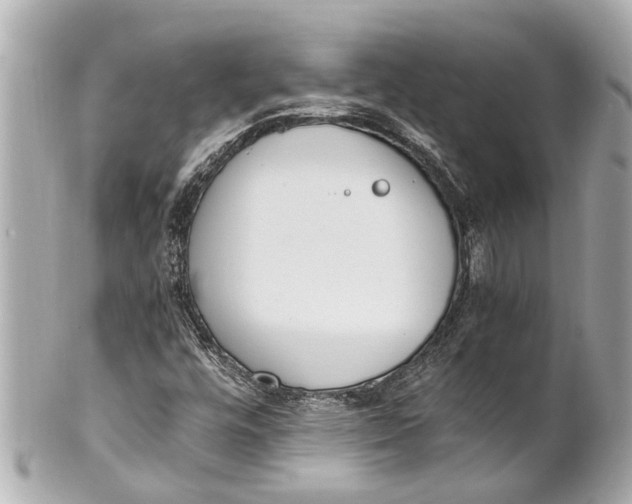 X0000101681448200807311509