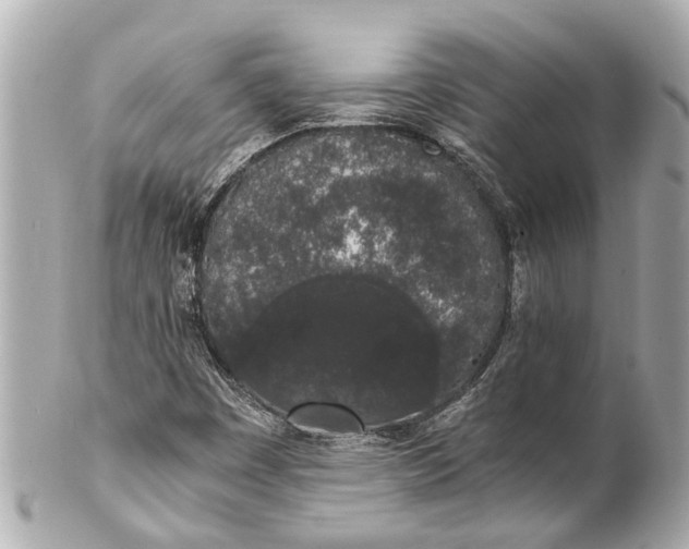 X0000101681449200807311509