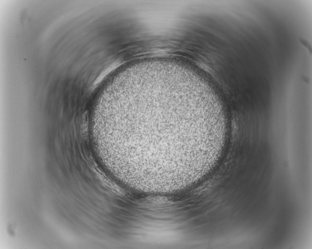 X0000101681450200807311509