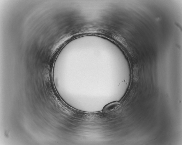 X0000101681452200807311509