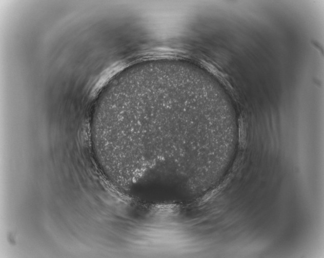 X0000101681453200807311508