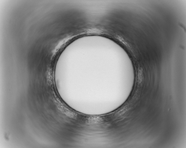 X0000101681454200807311508