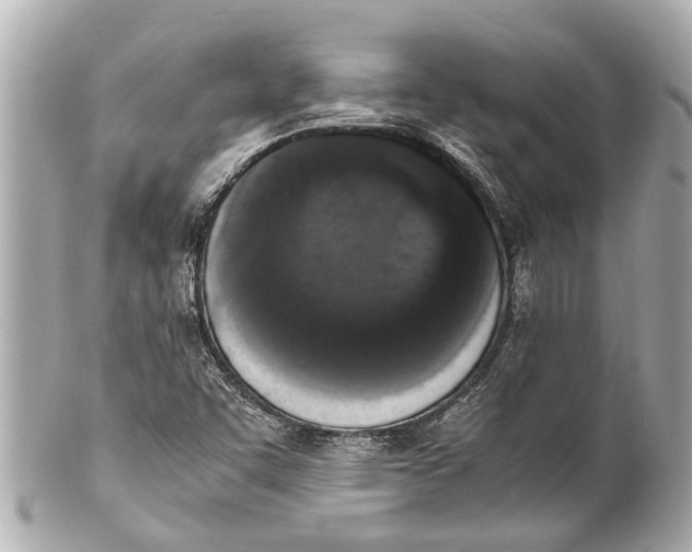 X0000101681455200807311508