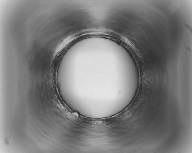 X0000101681456200807311508