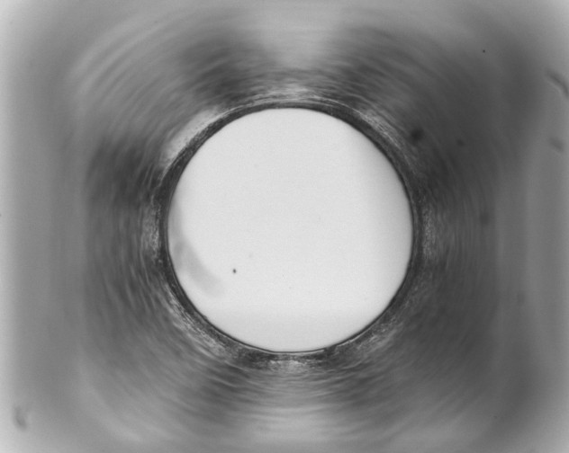 X0000101681458200807311508