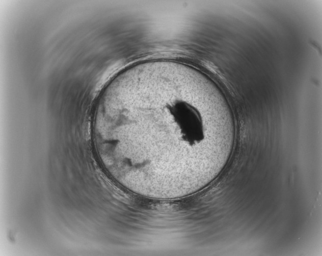 X0000101681459200807311508