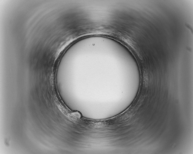 X0000101681460200807311508