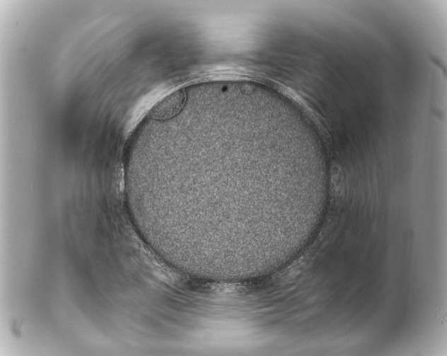 X0000101681461200807311508