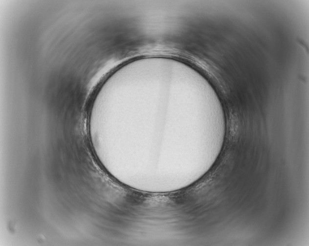 X0000101681462200807311508