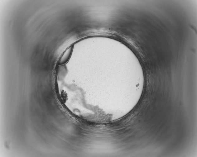 X0000101681463200807311508