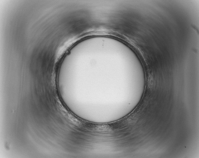 X0000101681464200807311508