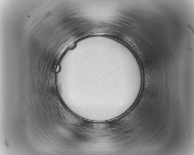 X0000101681465200807311508