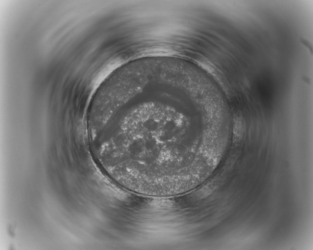 X0000101681466200807311508