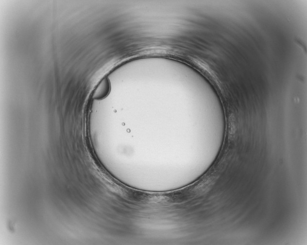 X0000101681467200807311508