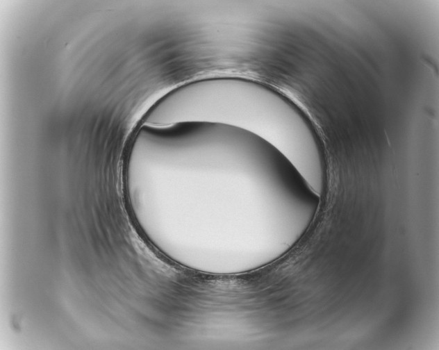 X0000101681468200807311508