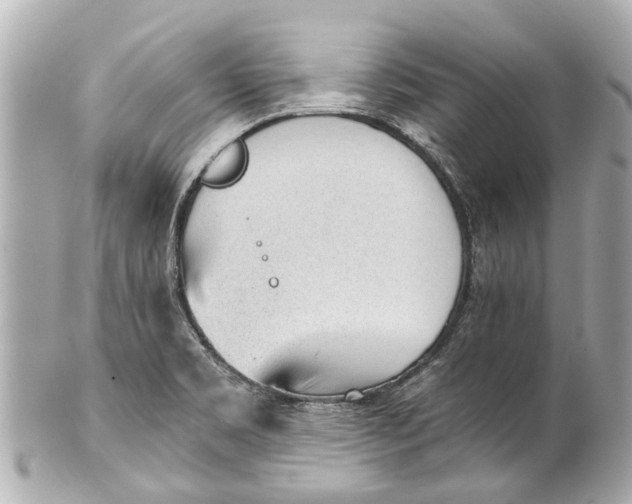 X0000101681469200807311508