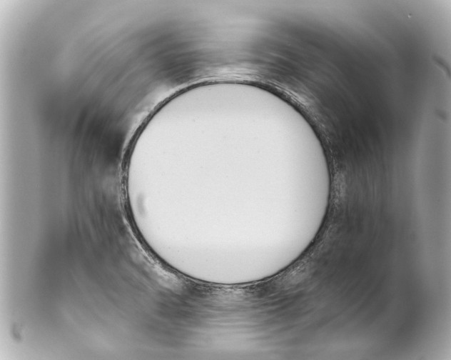 X0000101681470200807311508