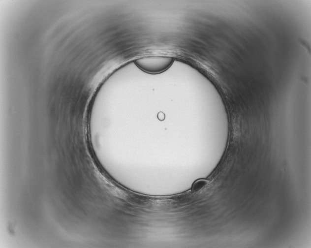 X0000101681471200807311508