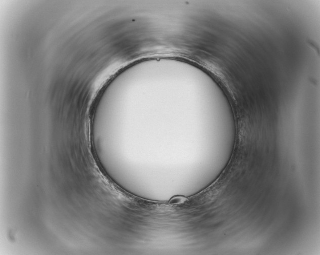 X0000101681472200807311508