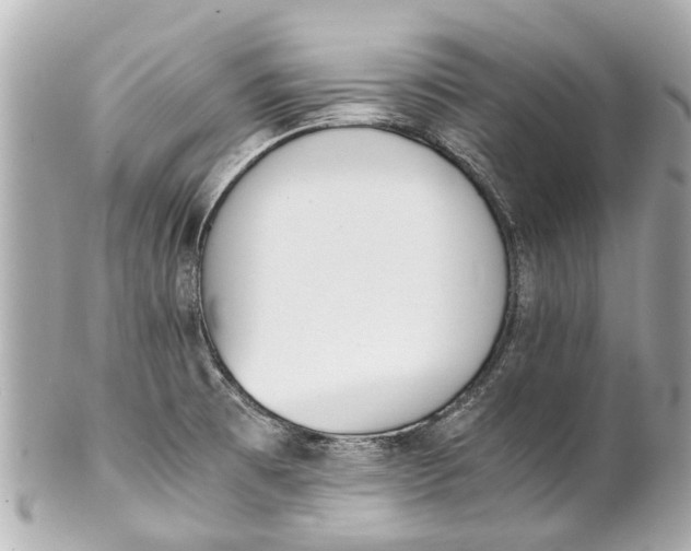 X0000101681473200807311508