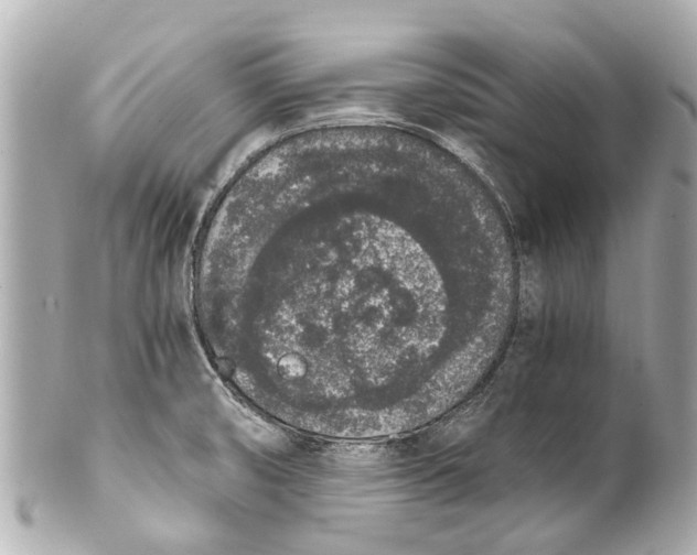 X0000101681474200807311508