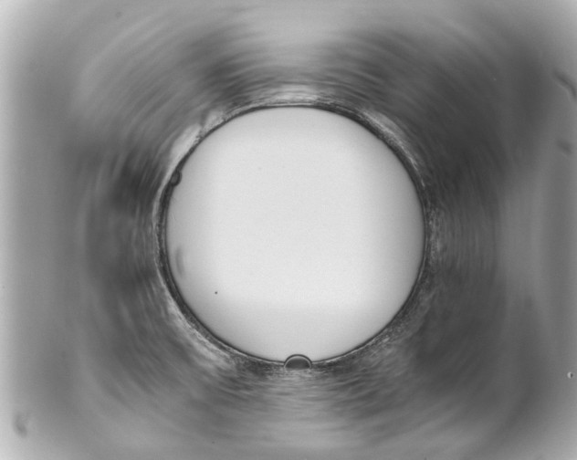 X0000101681475200807311508