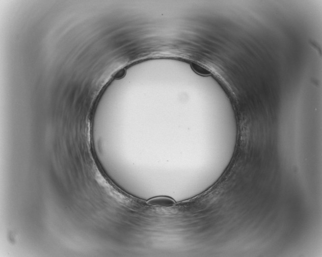 X0000101681476200807311508