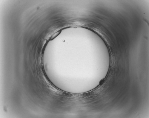 X0000101681477200807311508