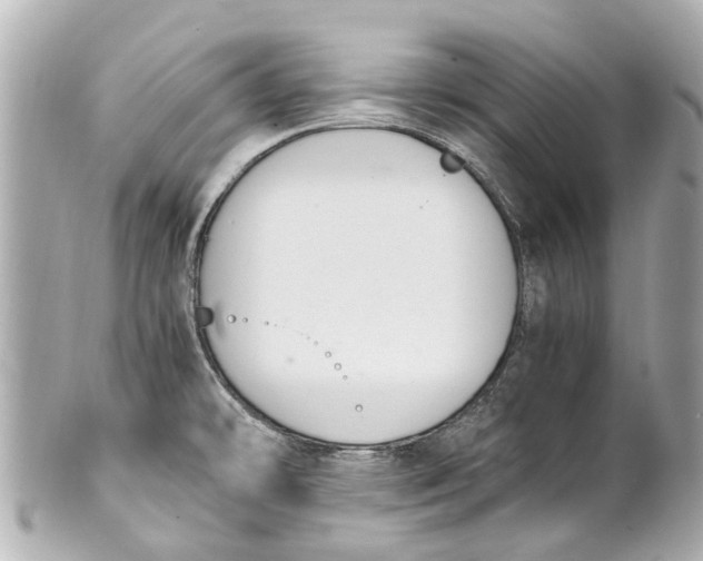 X0000101681478200807311508