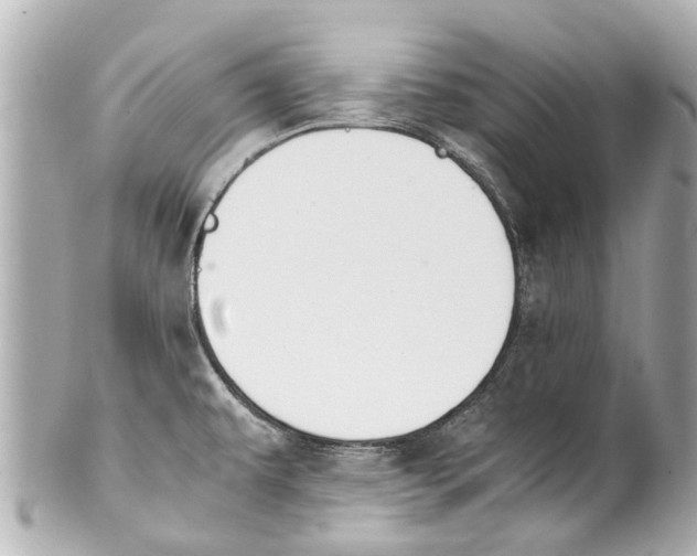 X0000101681479200807311508