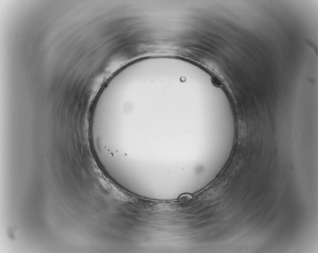 X0000101681480200807311508