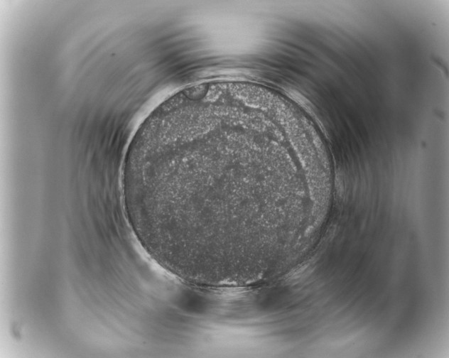 X0000101681482200807311508