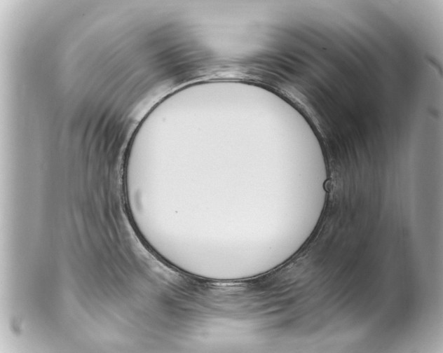 X0000101681483200807311508