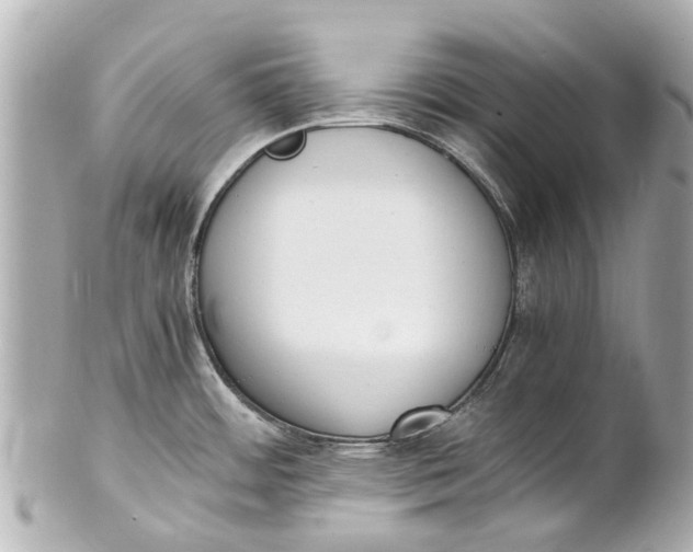 X0000101681484200807311508