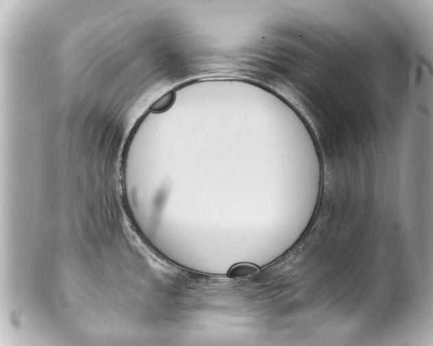 X0000101681485200807311508