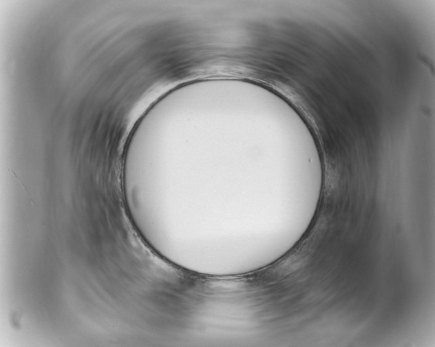 X0000101681486200807311508