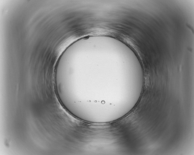 X0000101681487200807311508